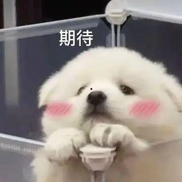 吃瓜群免费聊天记录下载,一场全民参与的娱乐盛宴 第3张 吃瓜群免费聊天记录下载,一场全民参与的娱乐盛宴 第3张