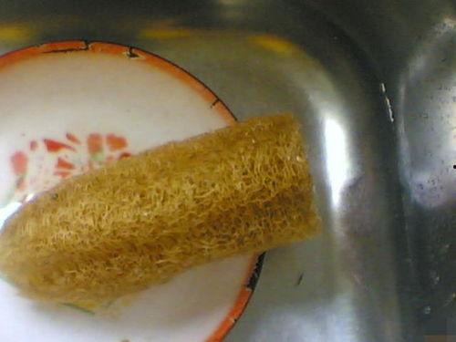 吃瓜厨房洗碗的网红,揭秘厨房清洁背后的辛酸与欢乐 第2张 吃瓜厨房洗碗的网红,揭秘厨房清洁背后的辛酸与欢乐 第2张